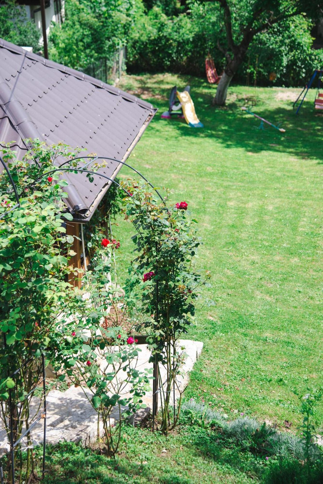 Apartmani Maslacak Vrdnik Dış mekan fotoğraf