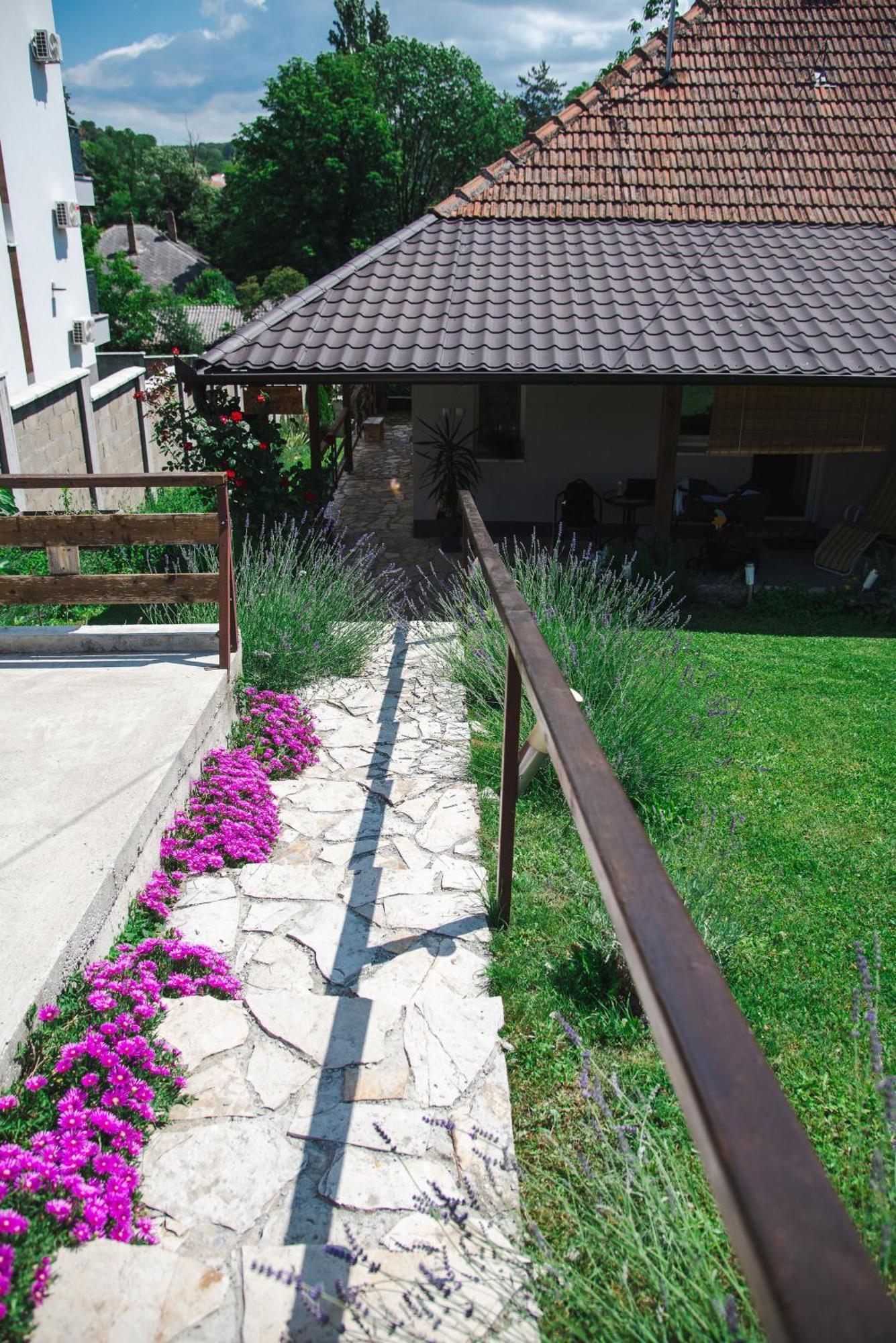 Apartmani Maslacak Vrdnik Dış mekan fotoğraf